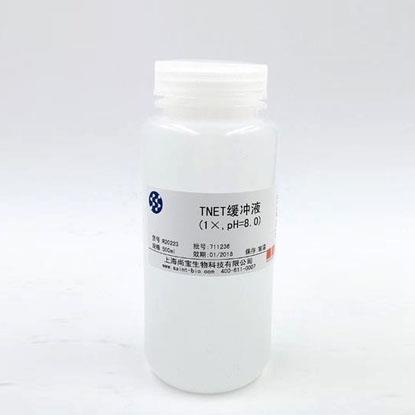 Tris鎂鹽緩沖液（1×，pH=7.8）